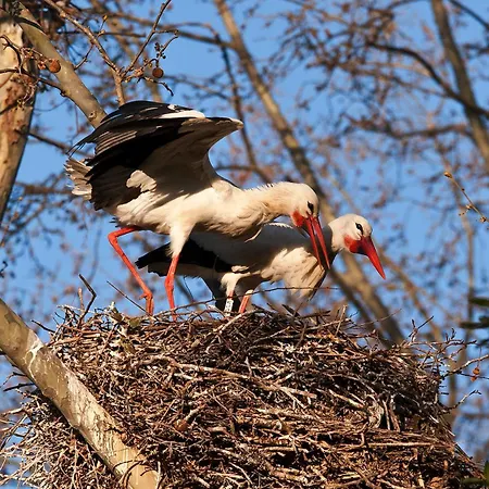 Loft En El Centro De *